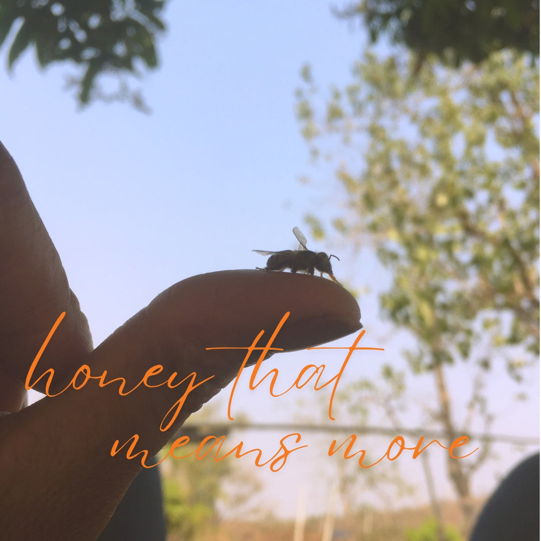 Hand holding a bee with trees and blue sky in the background, accompanied by text 'honey that means more'.